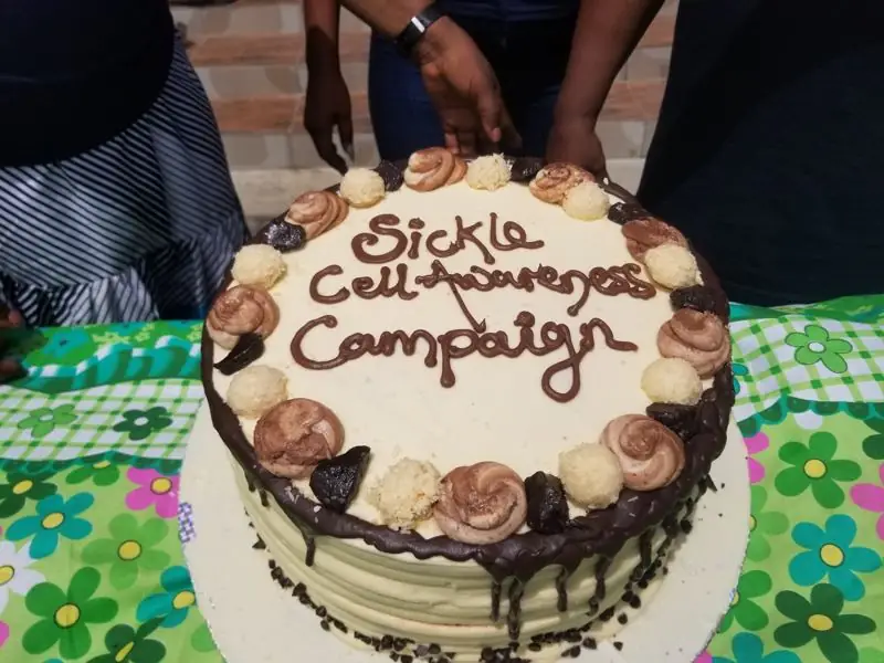 Sickle Cell Awareness Campaign cake, 27 April 2022